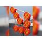 Импульсные светодиодные стрелки ИСС световая индикация оранжевая купить по недорогой цене от производителя в Москве